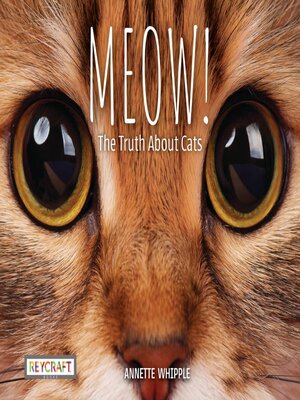 cover image of Meow! the Truth About Cats